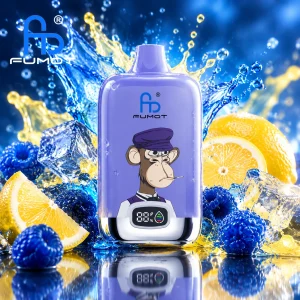 Fumot Digital Box 12000 Blue Razz Lemonade