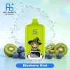 Fumot Digital Box 22000 Blueberry Kiwi